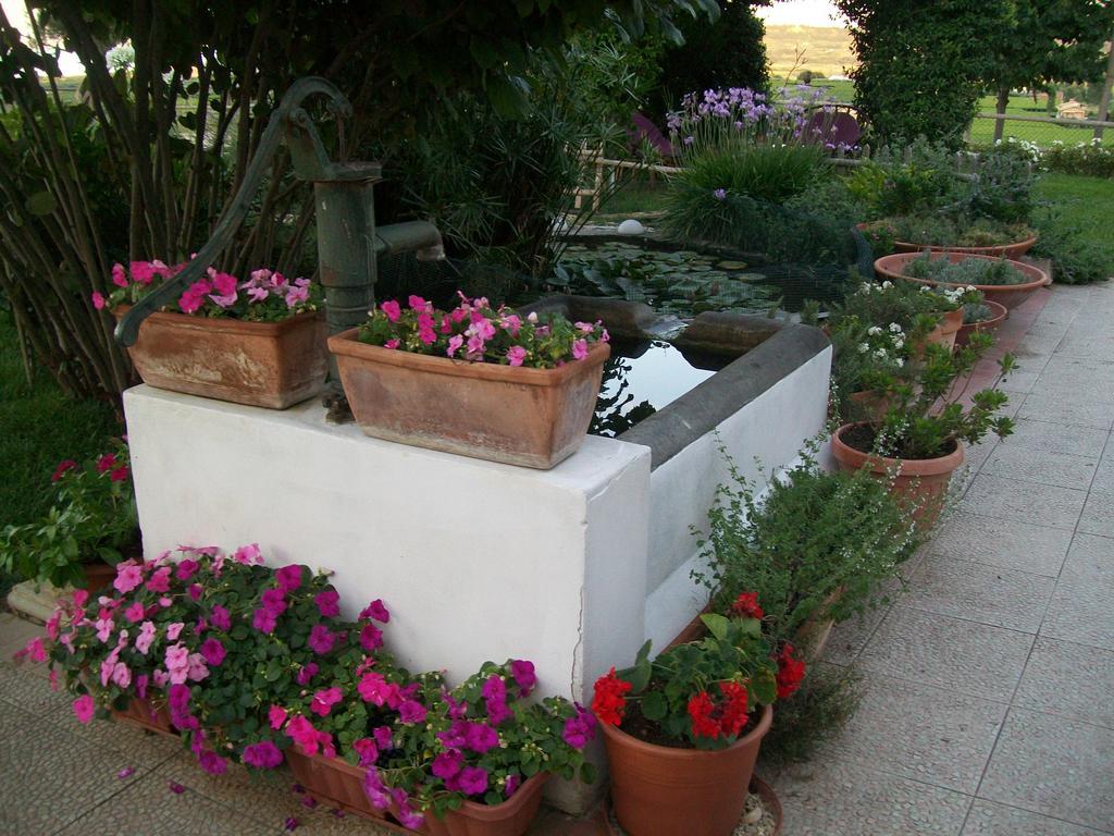 פוסאצ'סיה B&B La Casa Bianca מראה חיצוני תמונה